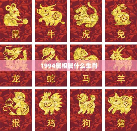 1994 屬什麼|1994年属什么生肖配对 1994年和什么属相最配